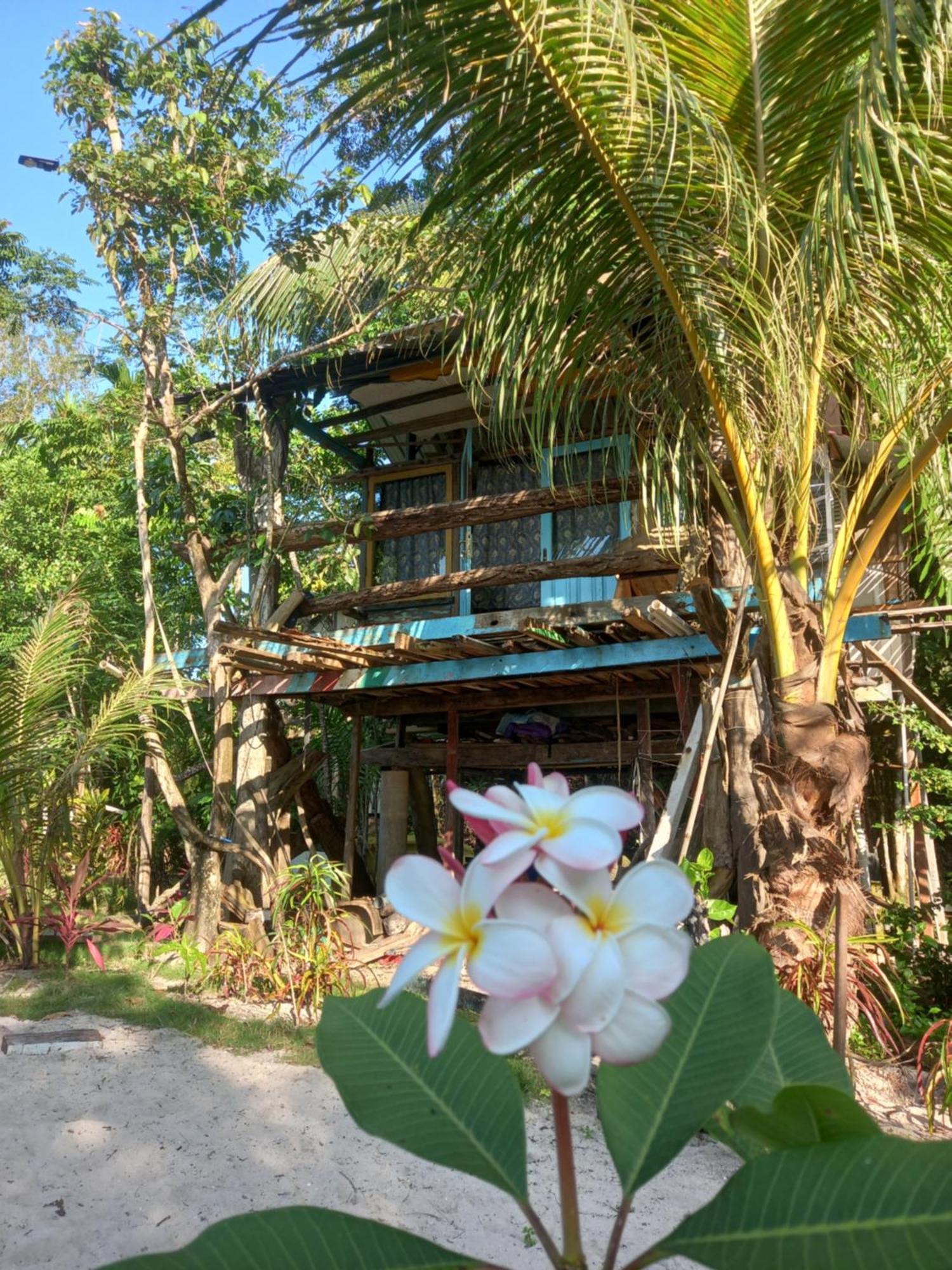 Sumatra Ecolodge Sungaipisang Zimmer foto