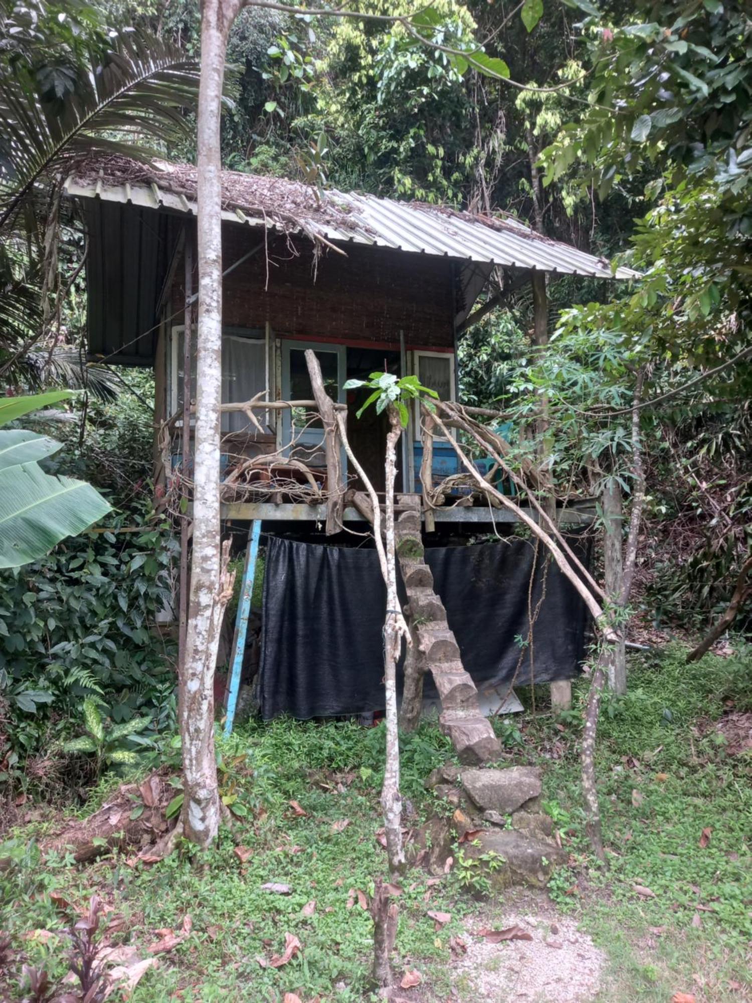 Sumatra Ecolodge Sungaipisang Zimmer foto