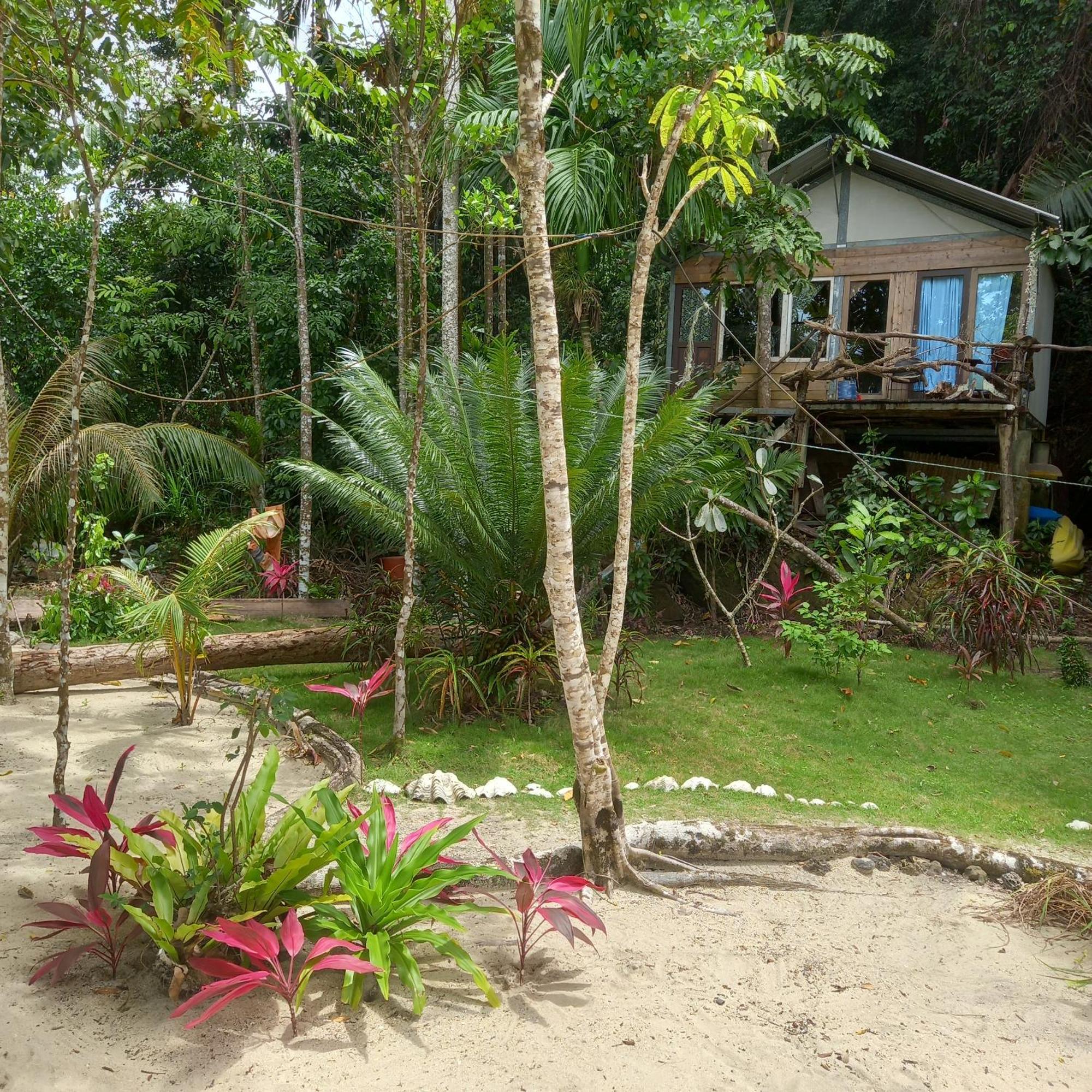 Sumatra Ecolodge Sungaipisang Zimmer foto